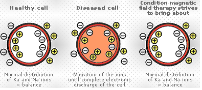 magnets-cell